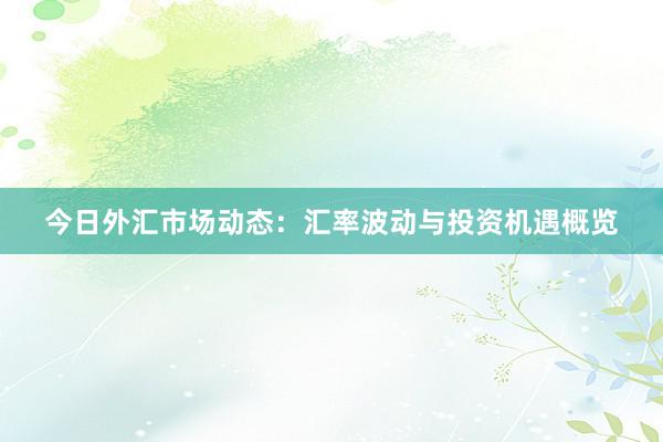 今日外汇市场动态：汇率波动与投资机遇概览