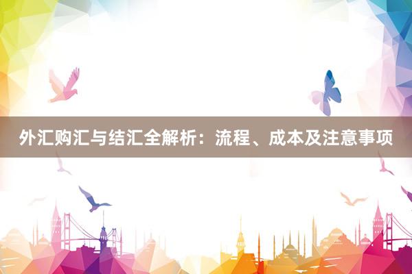 外汇购汇与结汇全解析：流程、成本及注意事项