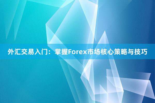 外汇交易入门：掌握Forex市场核心策略与技巧