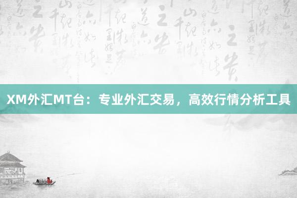 XM外汇MT台：专业外汇交易，高效行情分析工具